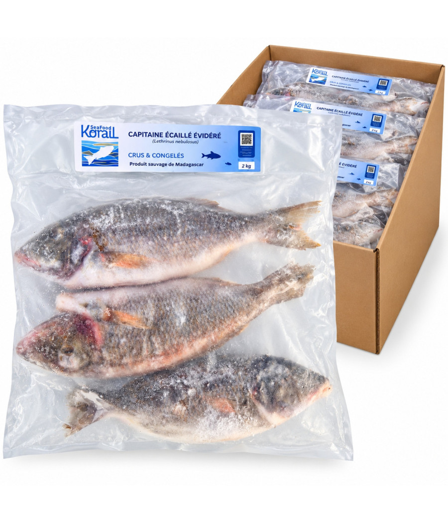 POISSON CAPITAINE VESO SURGELÉ ORIGINE MADAGASCAR CARTON 16 KG
