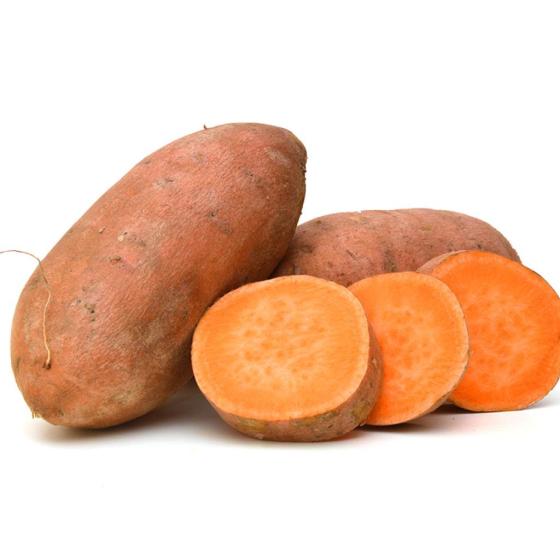 PATATE DOUCE ORIGINE EGYPTE CALIBRE XL