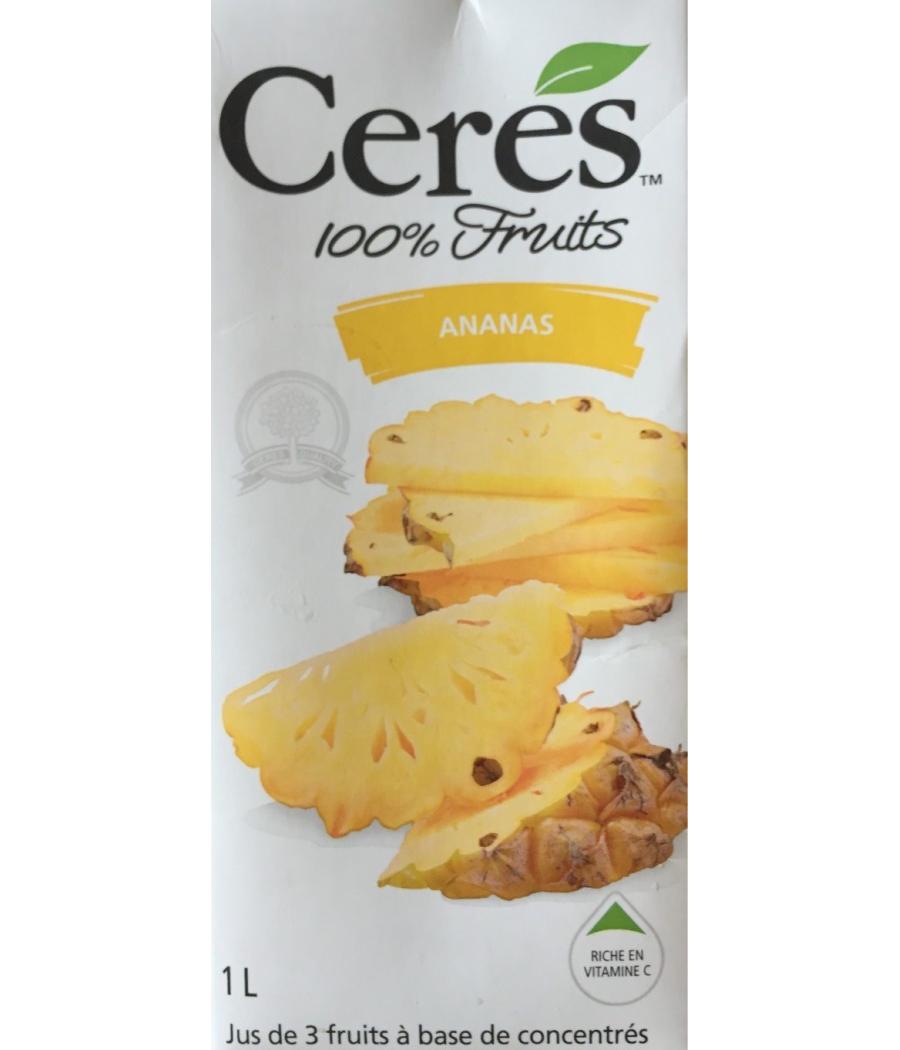 JUS DE FRUIT ANANAS JUS DE FRUIT ANANAS