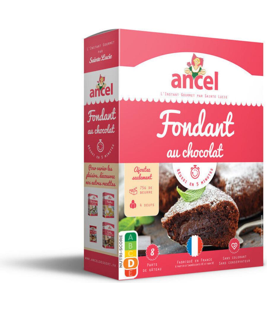 MON FONDANT AU CHOCOLAT 300 G
