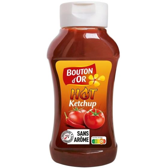 KETCHUP EPICE BOUTON D'OR 560G