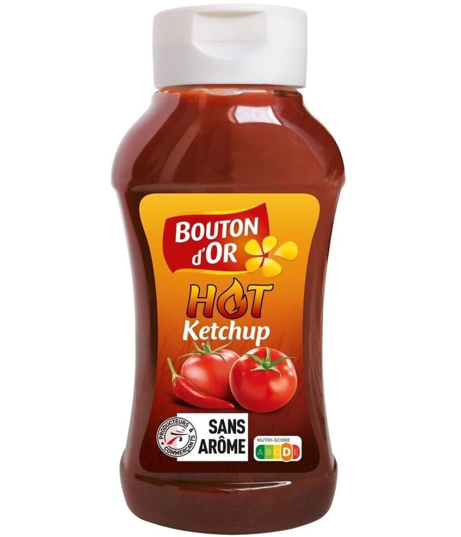 SAUCE KETCHUP BOUTON D'OR ÉPICÉS 560G