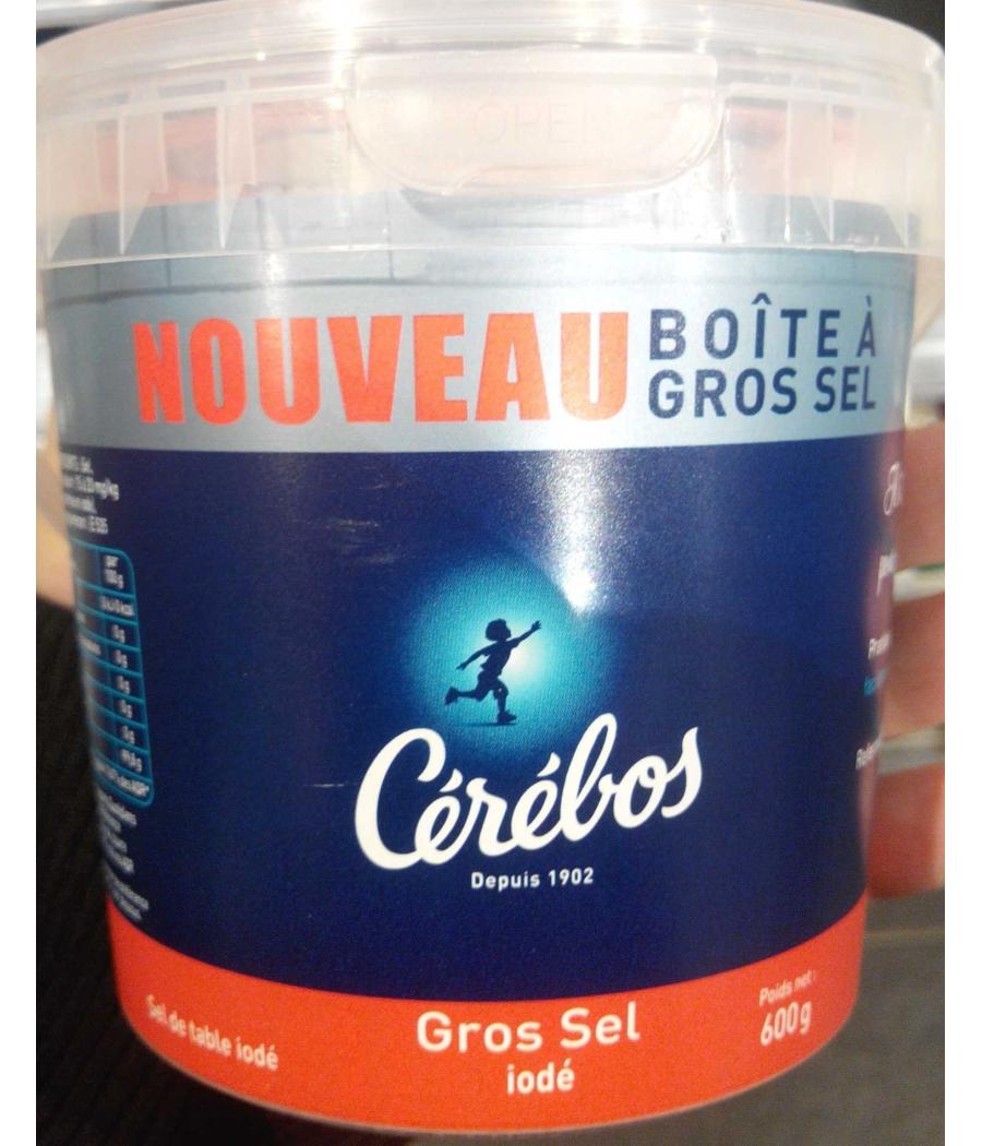 GROS SEL IODE CEREBOS 600G