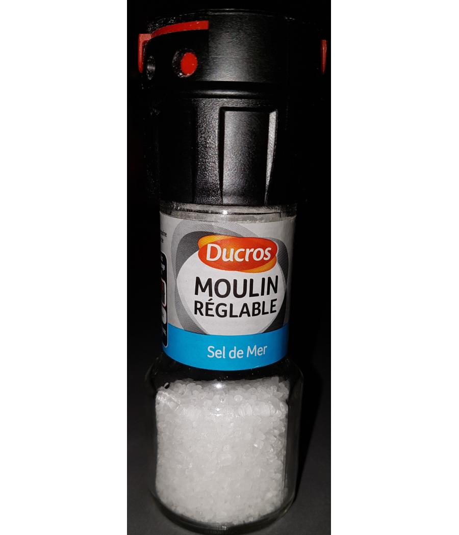 SEL DE MER DUCROS 60G