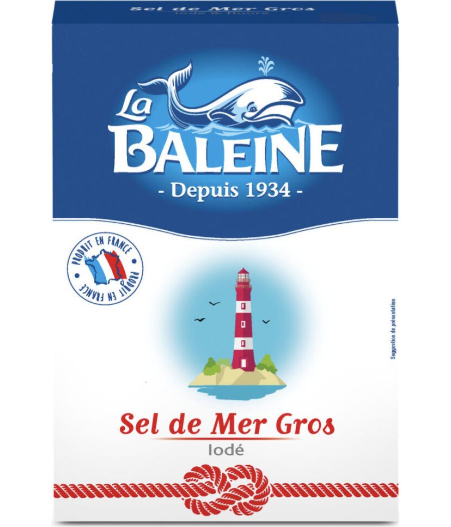SEL DE MER GROS IODE LA BALEINE 1KG