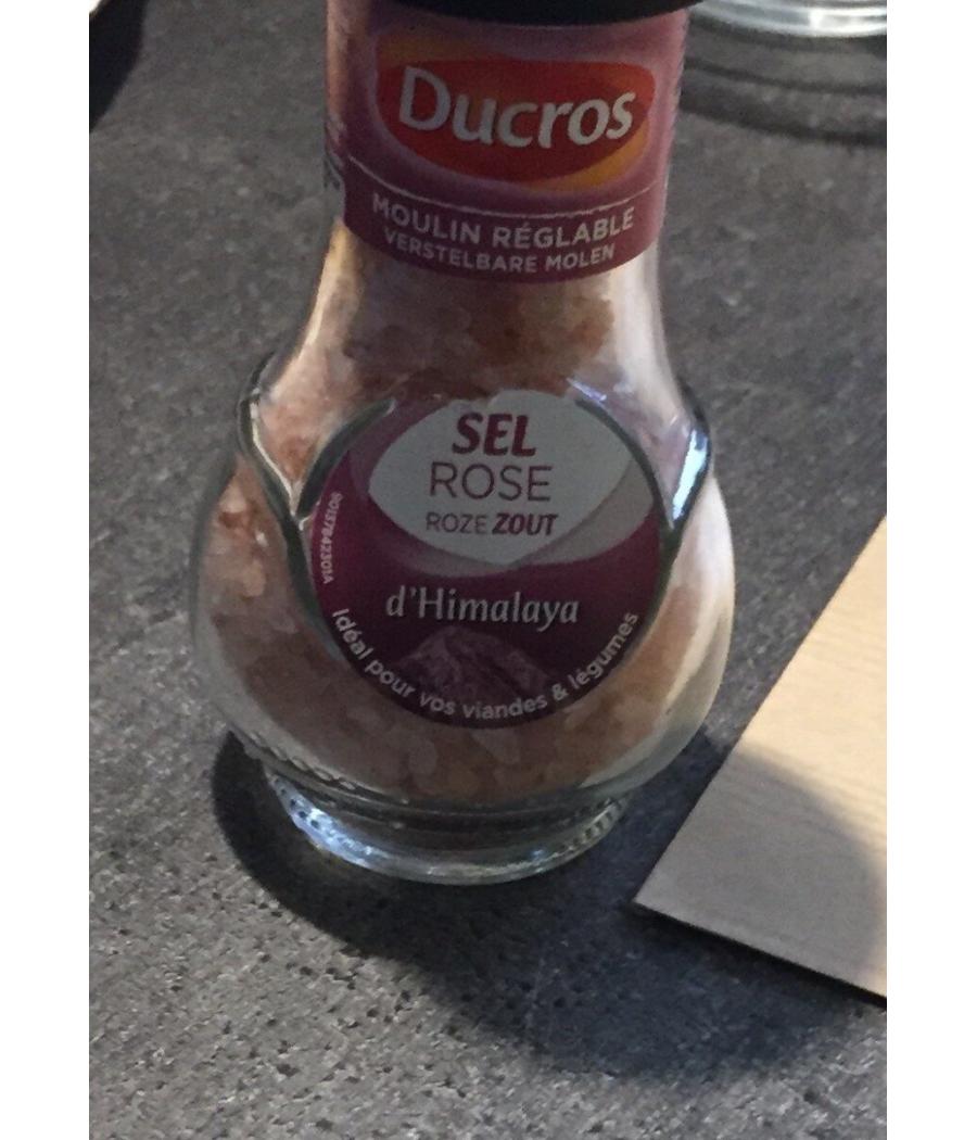 SEL ROSE D’HIMALAYA DUCROS 90G