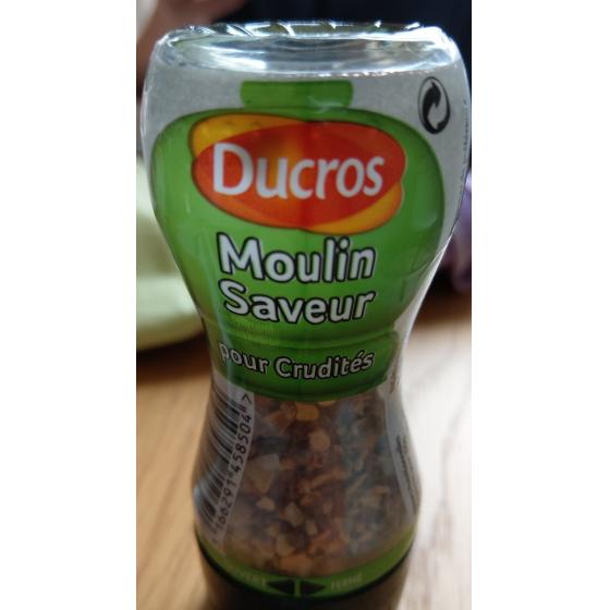 MOULIN SAVEUR POUR CRUDITES DUCROS 35G