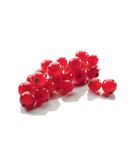 GROSEILLE ROUGE BARQUETTE 125 G CATEGORIE 1 CHILI