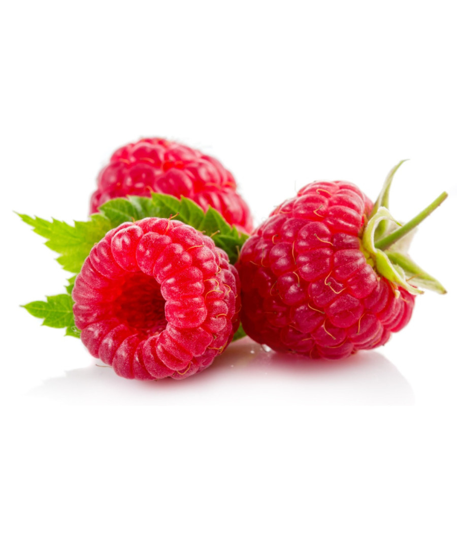 FRAMBOISE BARQUETTE 125 G CATEGORIE 1 MAROC FRAMBOISE BARQUETTE 125 G CATEGORIE 1 MAROC