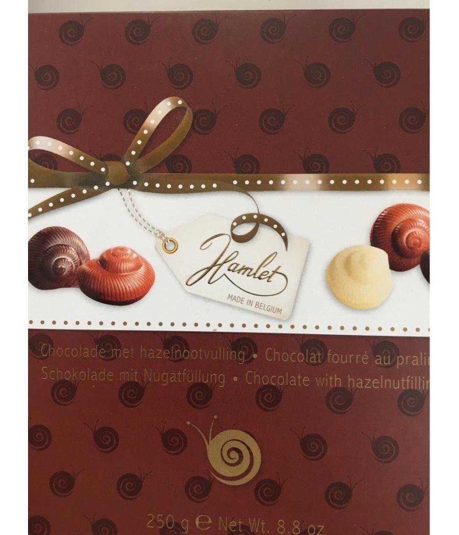 CHOCOLAT FOURRE AU PRALINE 250G