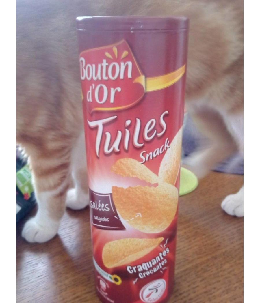 TUILES GOUT SALE BOUTON D'OR  170G