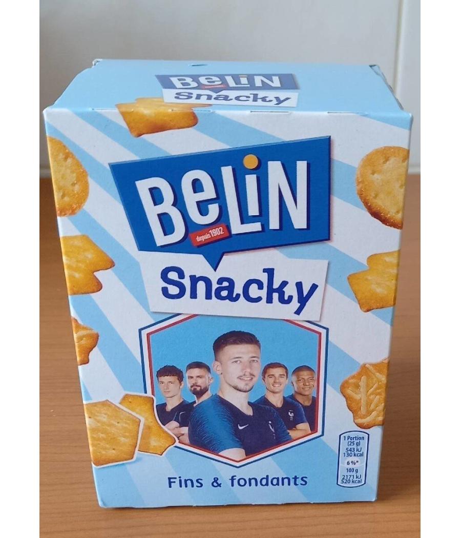BERIN SNACKY FIN & FONDANTS 100G