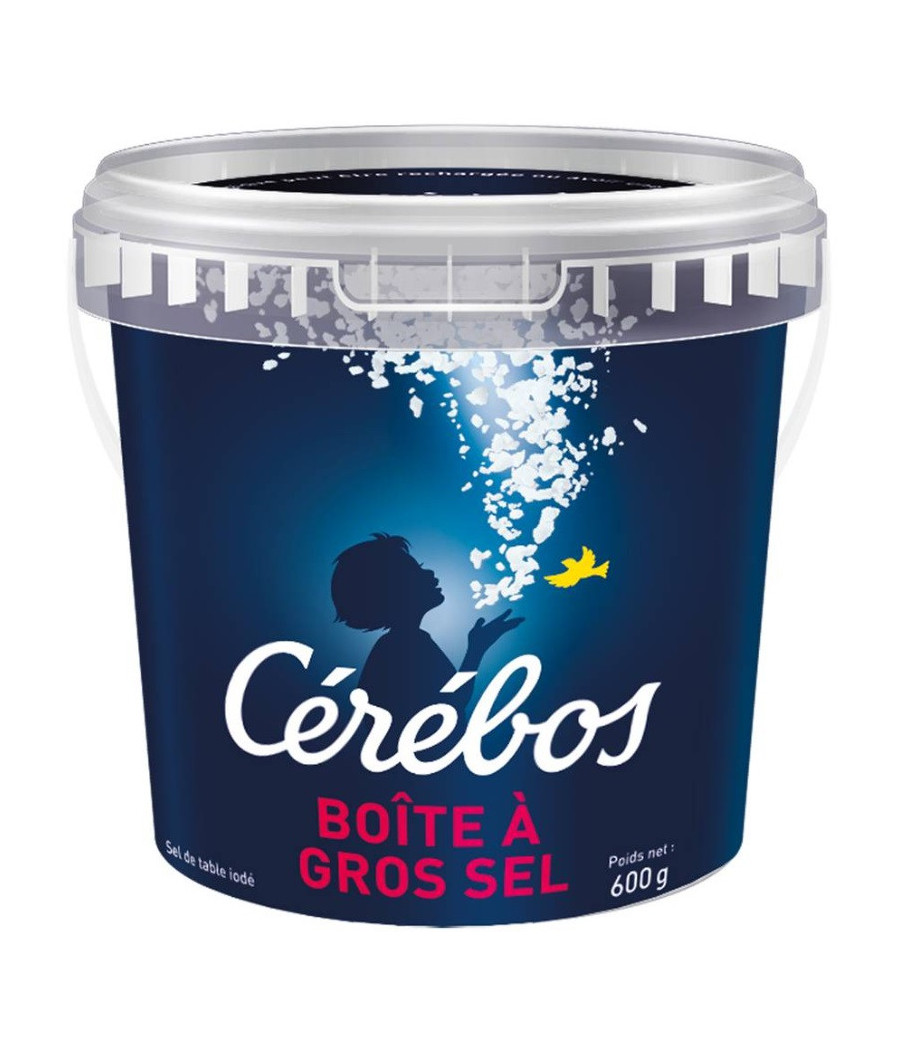 GROS SEL IODE CEREBOS 600G