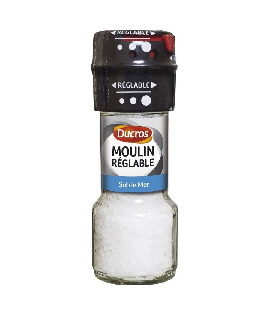 SEL DE MER DUCROS 60G