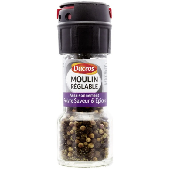 ASSAISONNEMENT POIVRE SAVEUR ET EPICES DUCROS 30G