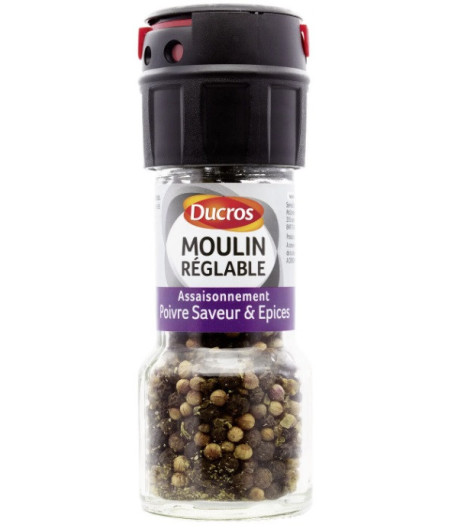 ASSAISONNEMENT POIVRE SAVEUR ET EPICES DUCROS 30G