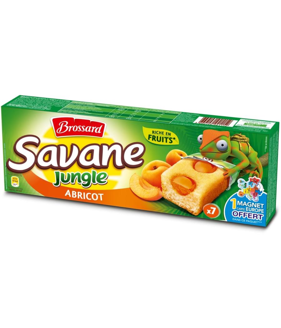 SAVANE JUNGLE ABRICOT BROSSARD 175G
