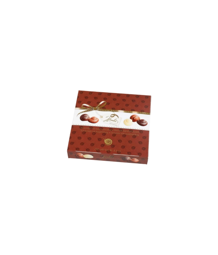 CHOCOLAT FOURRE AU PRALINE 250G