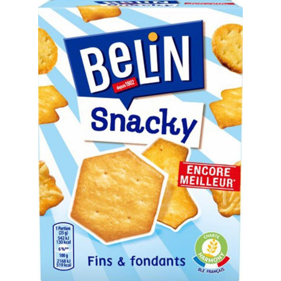 BERIN SNACKY FIN & FONDANTS 100G