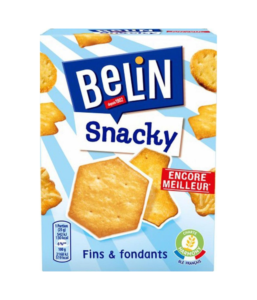 BERIN SNACKY FIN & FONDANTS 100G