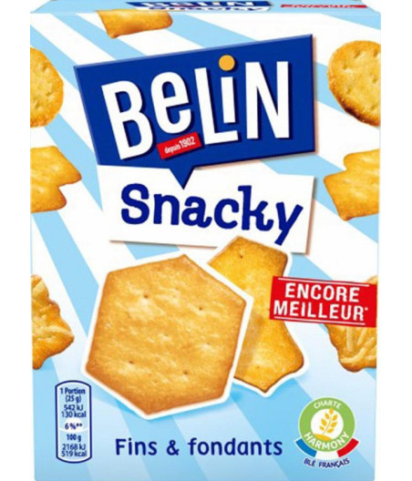 BERIN SNACKY FIN & FONDANTS 100G