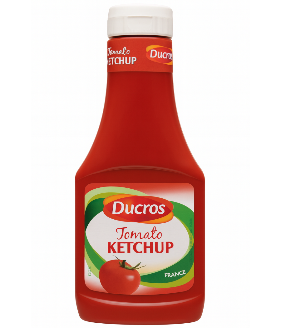 TOMATE KETCHUP DUCROS 560G