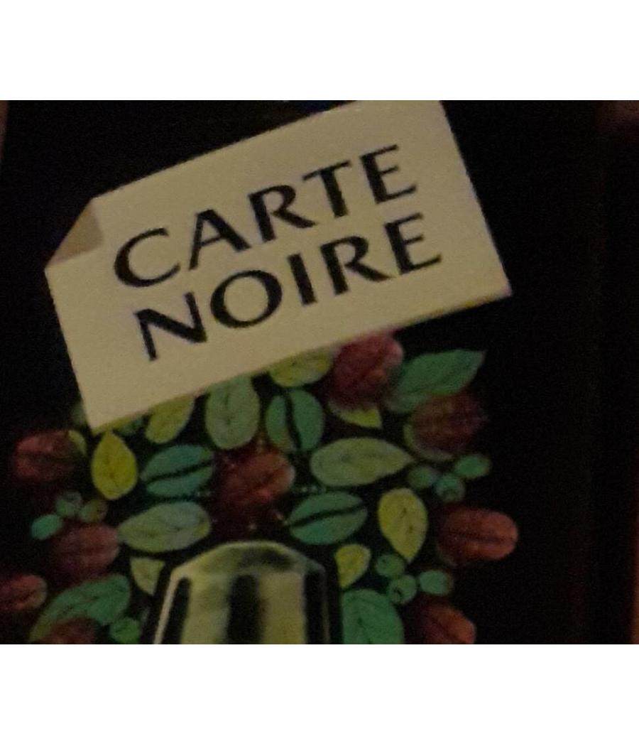 ESPRESSO BIO x10 55G