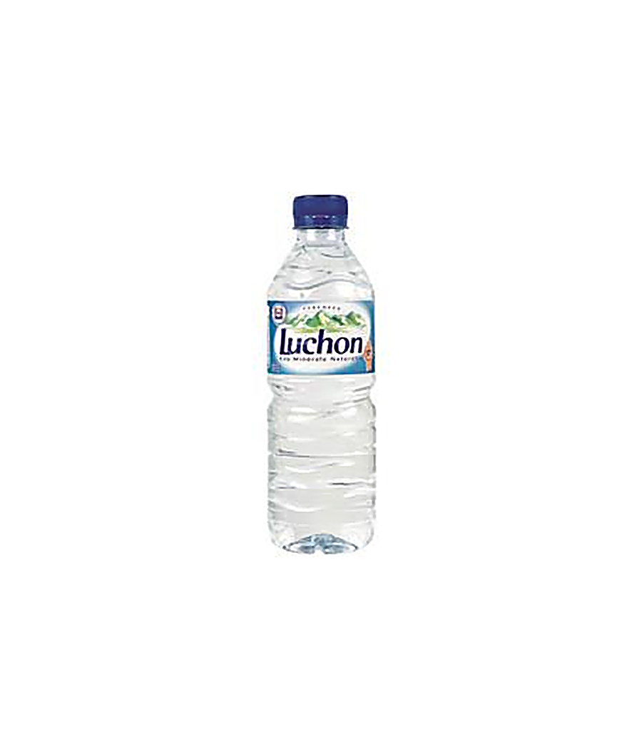 EAU DE SOURCE LUCHON 50CL