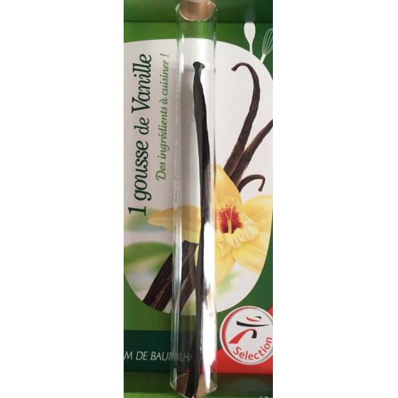 GOUSSE DE VANILLE CHEBRIOR