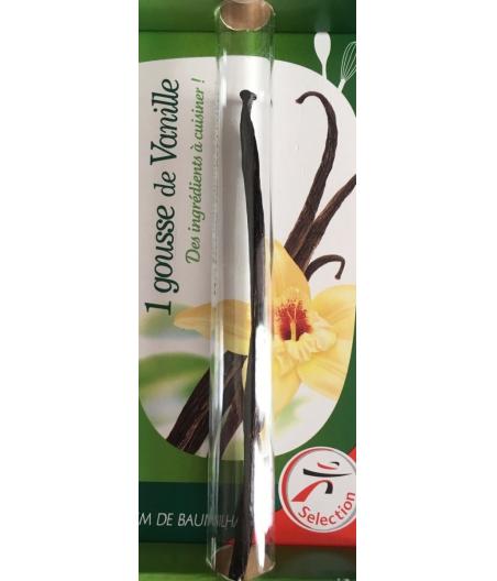 GOUSSE DE VANILLE CHEBRIOR