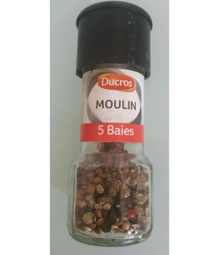 MOULIN 5 BAIES DUCROS 30G