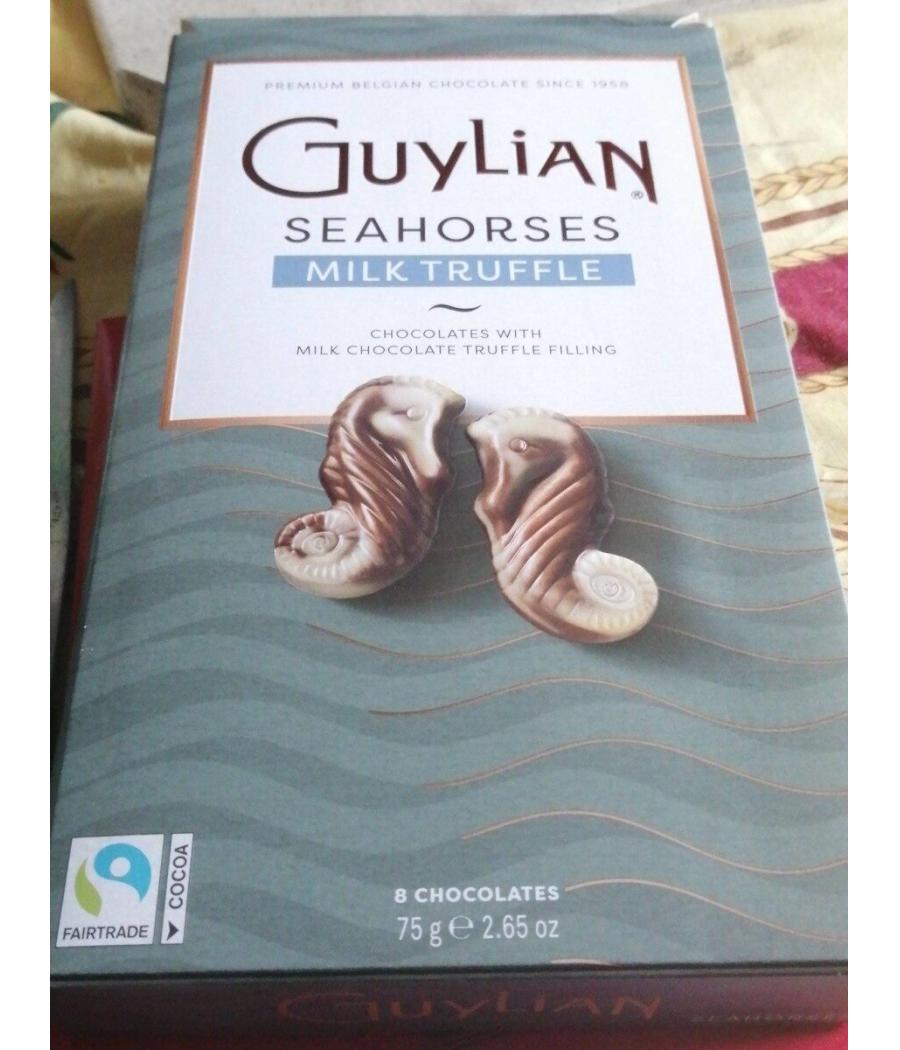 HIPPOCAMPES CHOCOLAT AU LAIT GUYLIAN
