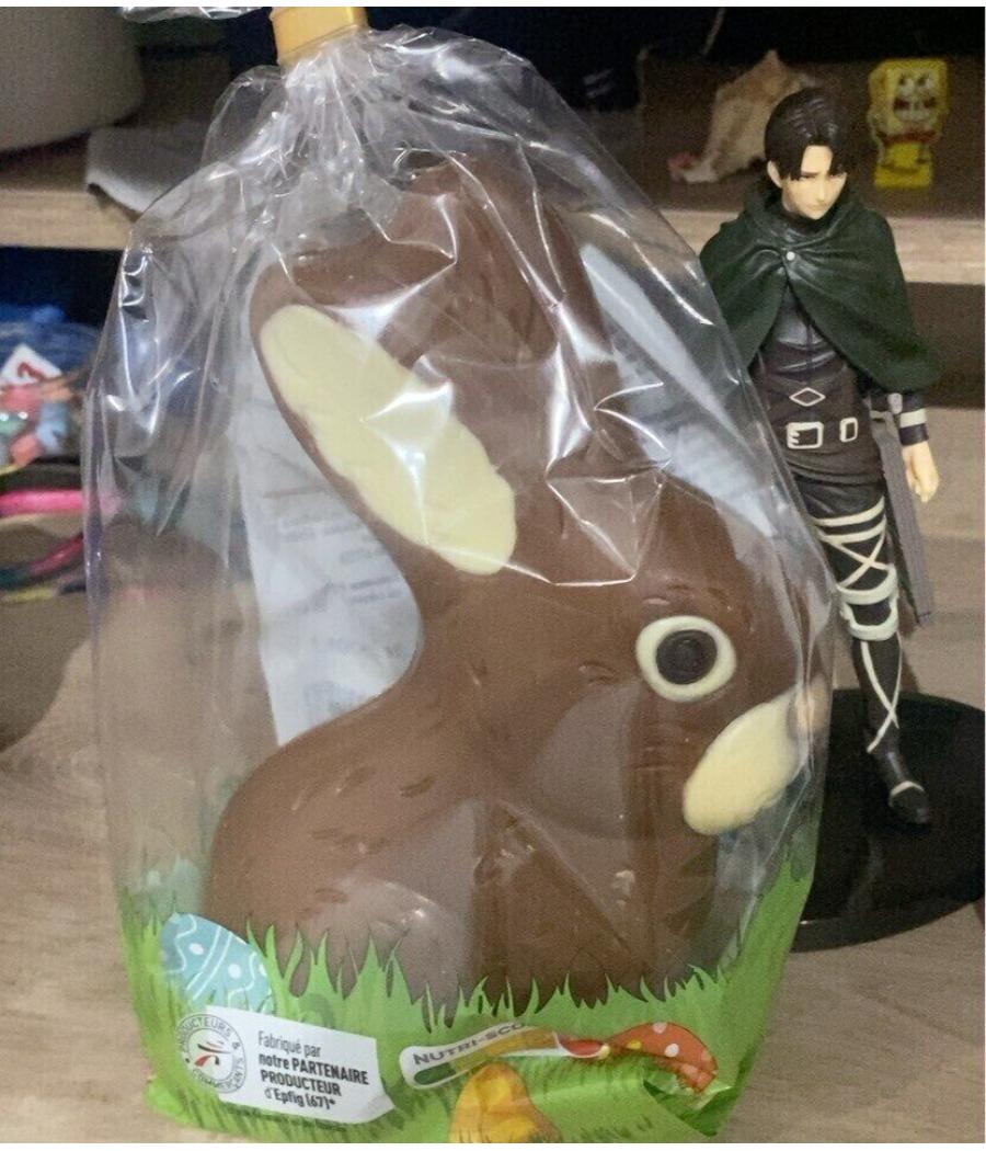 LAPIN EN CHOCOLAT IVORIA