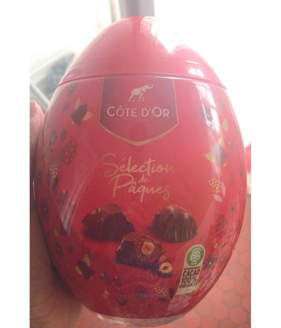 CHOCOLAT COTE D'OR SELECTION DE PAQUE OEUF PLASTIC MIX 198G