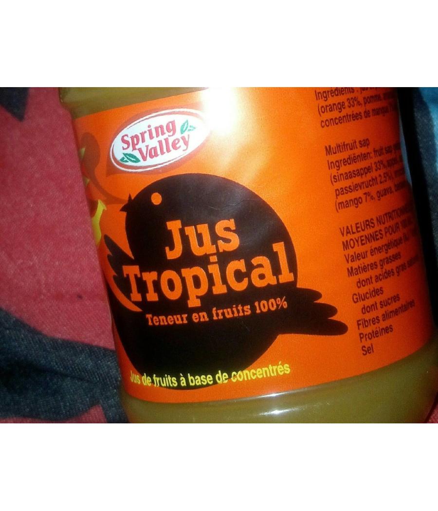 JUS DE FRUITS TROPICAL SPRING VALLEY 0.5L