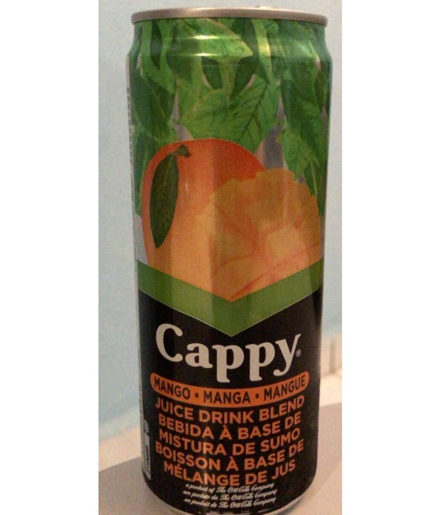 JUS DE FRUITS MANGUE CAPPY 33CL