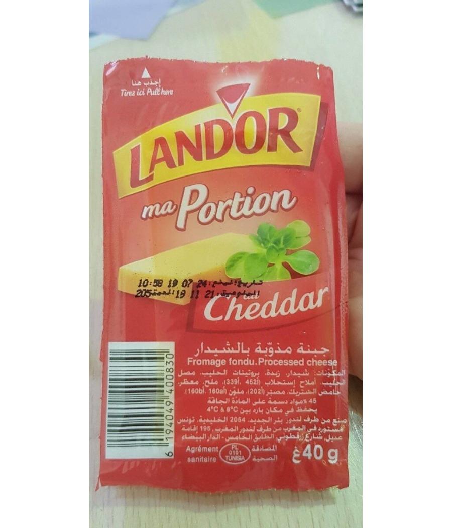 FROMAGE FONDU CHEDDAR