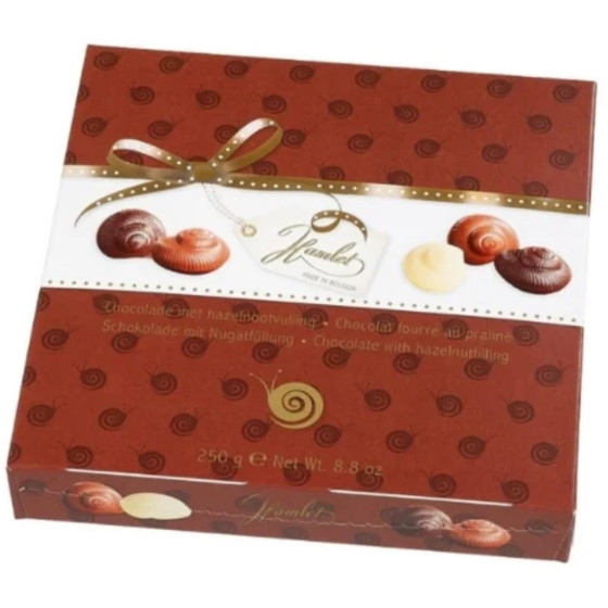 CHOCOLAT FOURRE AU PRALINE 250G