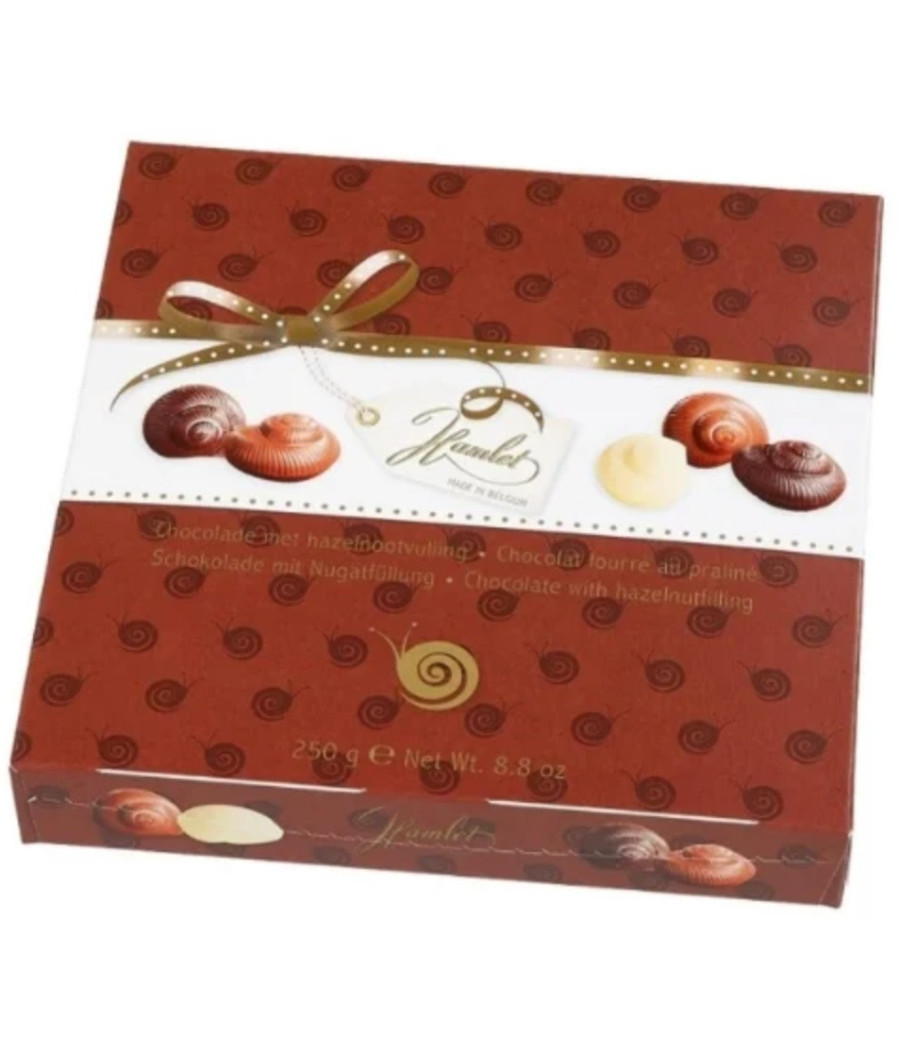 CHOCOLAT FOURRE AU PRALINE 250G