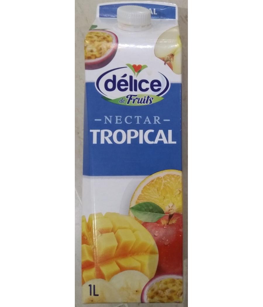 NECTAR TROPICAL DELICE DE FRUITS 1L