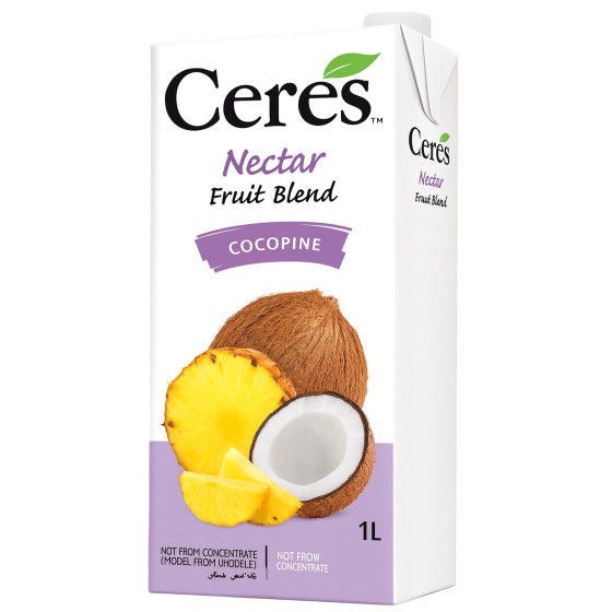 JUS DE FRUITS ANANAS COCO BLEND NECTAR 1L