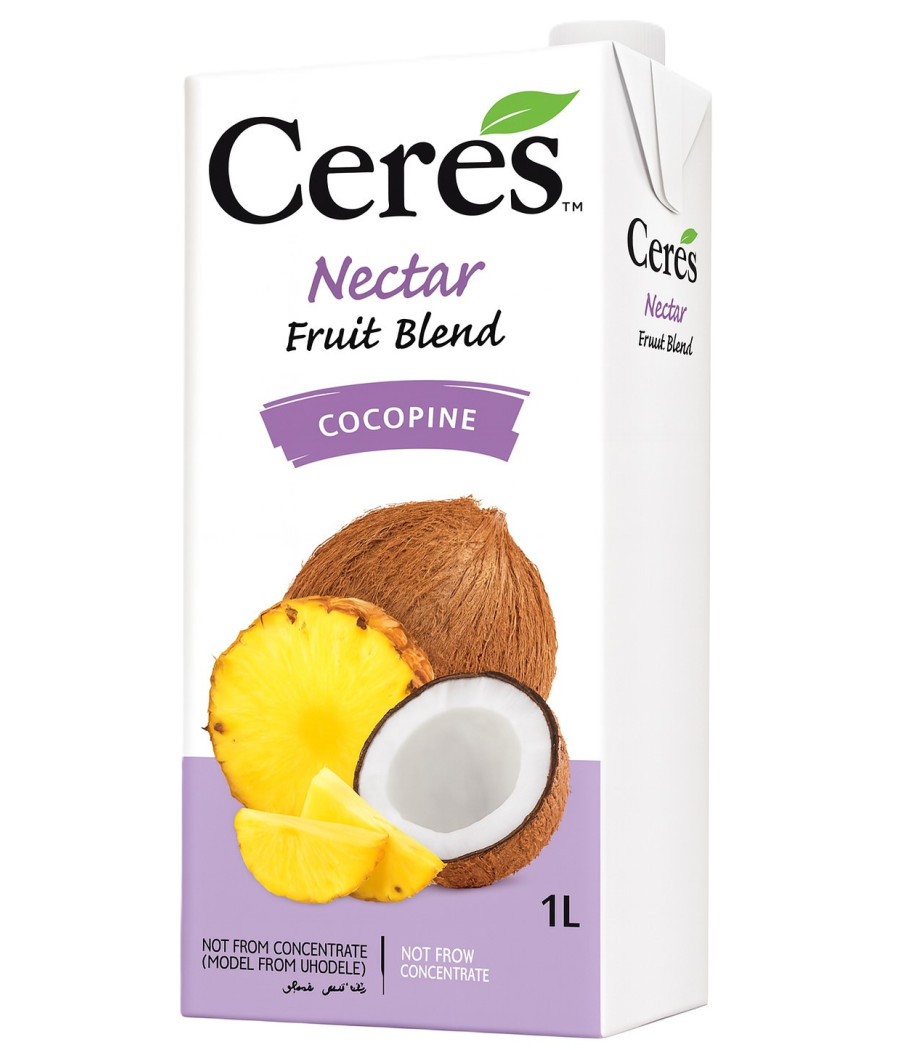 JUS DE FRUITS ANANAS COCO BLEND NECTAR 1L