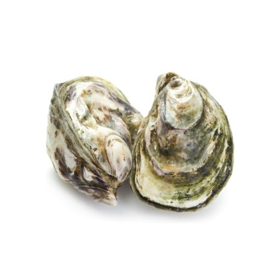 HUITRE FINE DE CLAIRE SPECIALE DANIEL SORLUT N2 24 PIECES ELEVAGE FRANCE 3 KG PACK DE 3