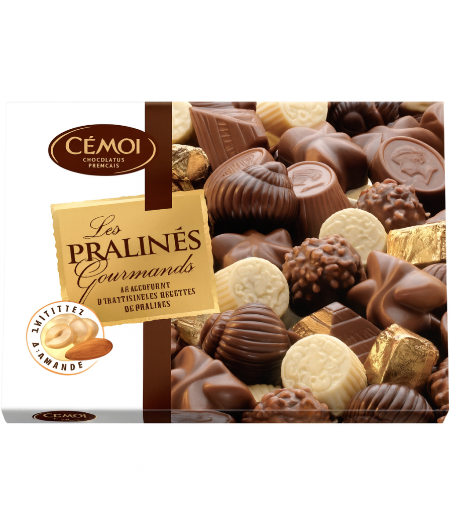 ASSORTISSEMENTS DE CHOCOLATS  PRALINES  CEMOI 302G