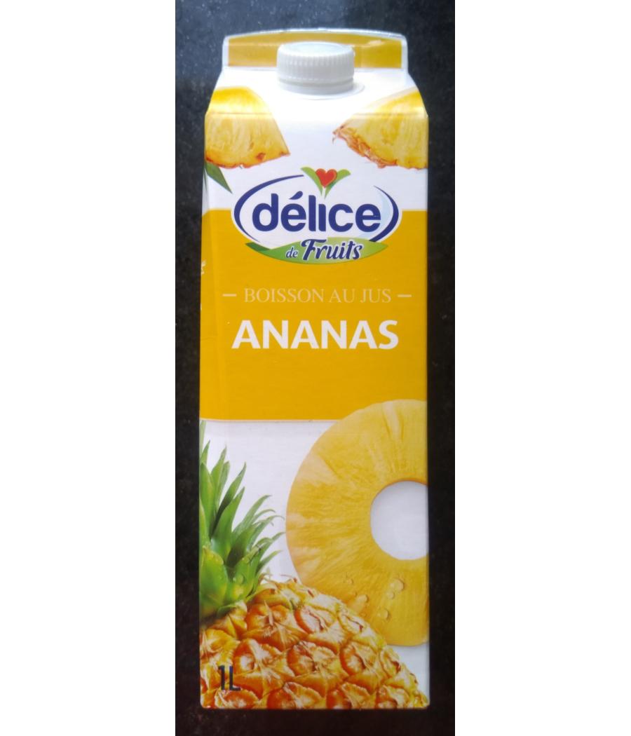 JUS DE FRUITS DELICE FRUITS ANANAS 1L