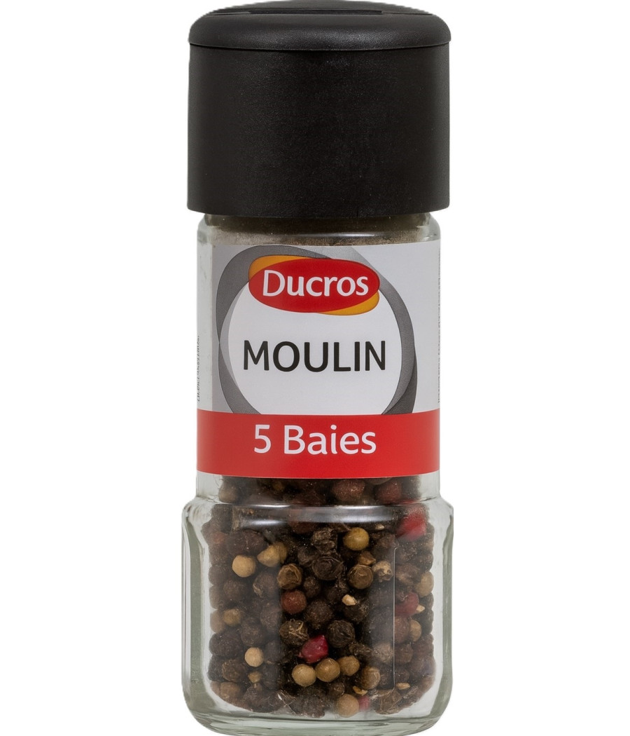 MOULIN 5 BAIES DUCROS 30G
