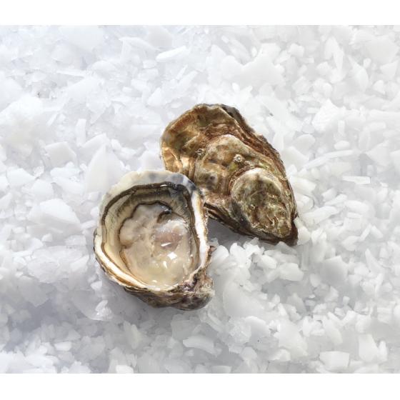 FILIERE HUITRE SPECIALE ISIGNY LA CALVADOSIENNE N3 48 PIECES ELEVAGE FRANCE 4 KG PACK DE 4