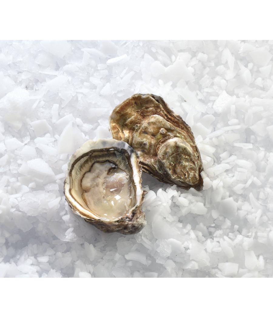 FILIERE HUITRE SPECIALE ISIGNY LA CALVADOSIENNE N3 48 PIECES ELEVAGE FRANCE 4 KG PACK DE 4