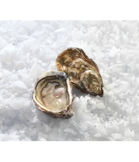 FILIERE HUITRE SPECIALE ISIGNY LA CALVADOSIENNE N3 48 PIECES ELEVAGE FRANCE 4 KG PACK DE 4