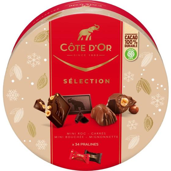 ASSORTIMENT CHOCOLATS SELECTION COTE D'OR 349G